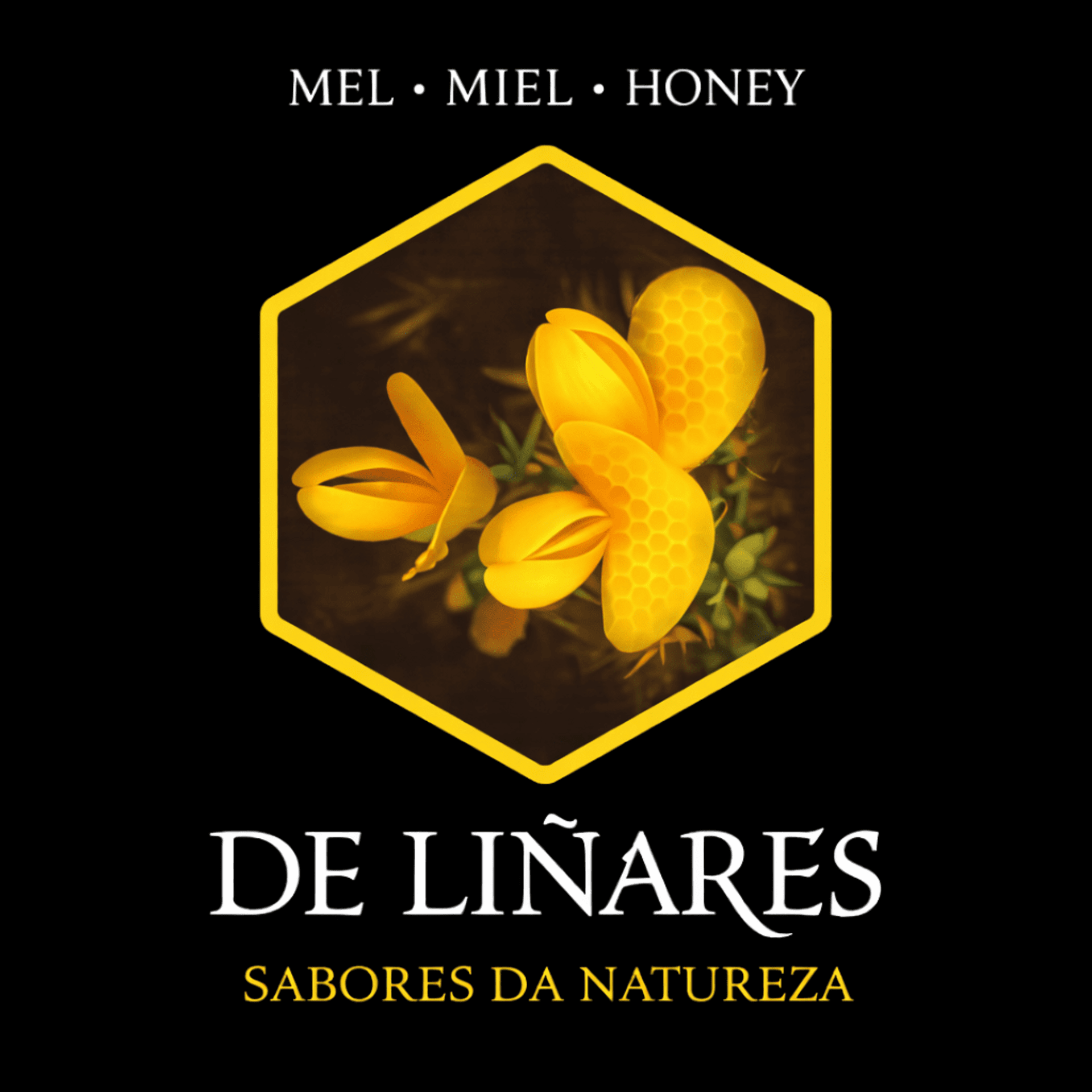 Celdas Reales de Abeja Seleccionadas Cría de Reinas (Precio A Consultar). - 5