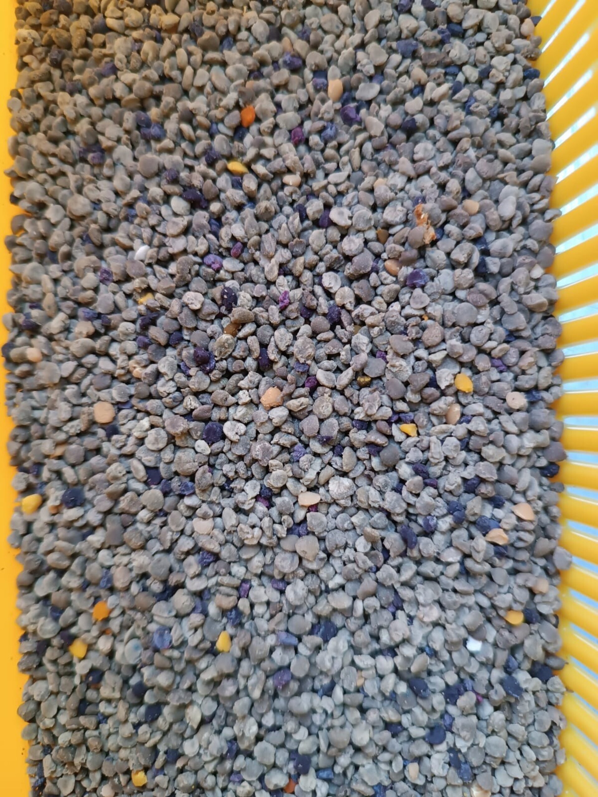 Mel de Liñares Polen Natural de Abeja - de castaño - 9