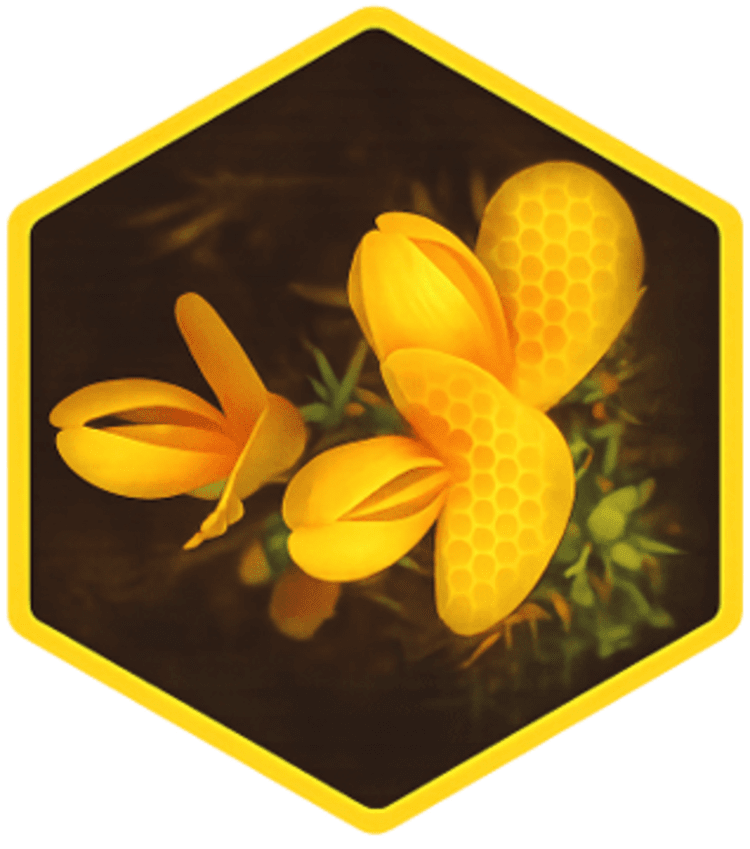 De Liñares Apicultura